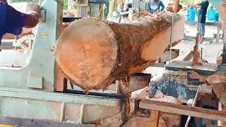 The Arrival Of Bubinga Wood From Africa Will Enable Workers To Sawmill