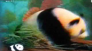 หลินปิงซ๊นซน.wmv screenshot 2