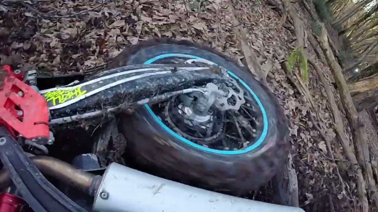 Орлёнок 2026 класс серебро