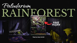 Making a Rainforest Paludarium - Step By Step Tutorial