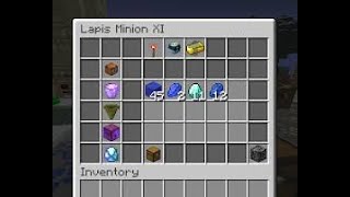 Collecting lapis minions after 1 week (Hypixel Skyblocks)