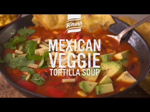 Mexican Tortilla Soup Broth Recipe