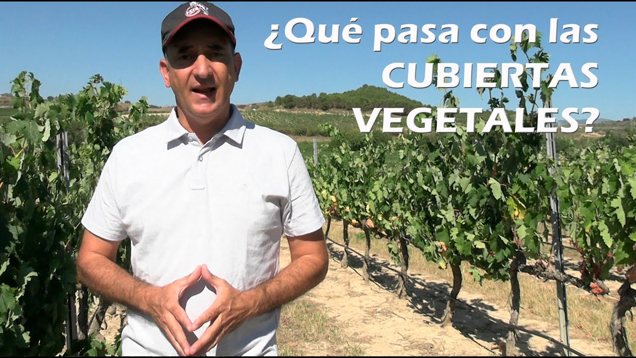 ¿Qué pasa con las CUBIERTAS VEGETALES?