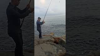 Giresun Sahilinde Şamandıra Olta Ile Zargana Avı