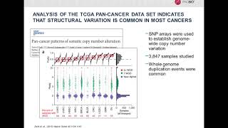 Revealing the Hidden Landscape of Structural Variants in Cancer Genomes