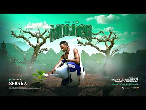 15.LITSHEPE LR-SEBAKA FT SHASHIE LS,ISSAH SISDOH & NKOZANA DE PRINCE(PROD.BY B.NOLO & SHEV SHENGU