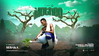 15litshepe Lrsebaka Ft Shashie Lsissah Sisdoh U0026 Nkozana De Princeprodby Bnolo U0026 Shev Shengu