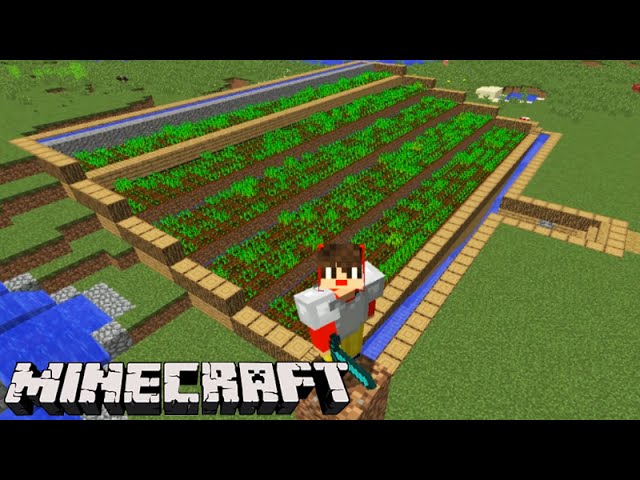 Tudo Sobre Minecraft: Plantação Automatica