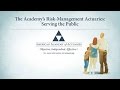 Risk-Management Actuaries