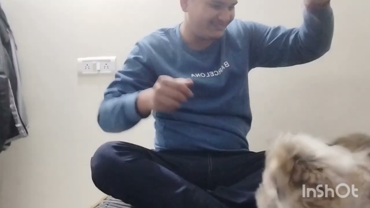 कोको के कारनामे