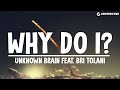 Unknown brain  why do i feat bri tolani lyrics