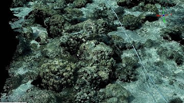iWitnessPRO-Agilis / SURE dense 3D point cloud - coral network