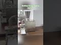 🥟 Compact Desktop Siomai Making Machine, Big Output | Perfect for Restaurants #shortsvideo