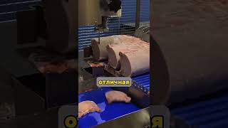 Ищем работников на рыбное производство в Мурманске, опыт не нужен #работа #вакансии