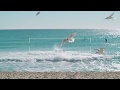 Insoundnia - Sleep Sound & Relaxing Music