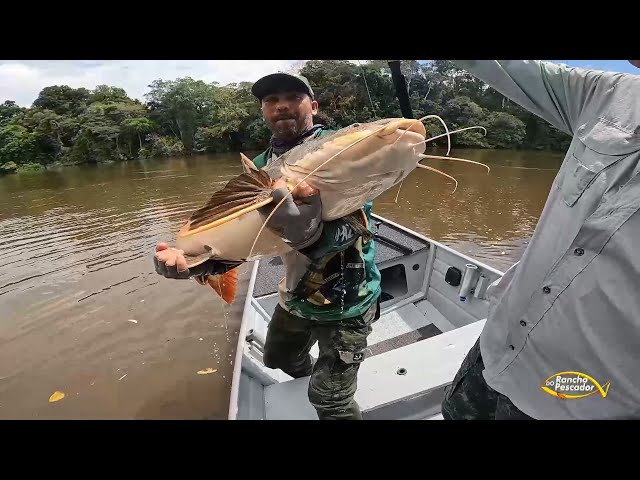 AMAZON ROOSEVELT - PROGRAMA RANCHO DO PESCADOR