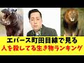 エバース町田目線で見る人を殺してる生き物ランキング