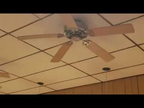 Hampton Bay Farmington Ceiling Fans At A Pizza Shop