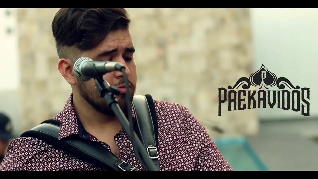 Un gato en la oscuridad (En vivo)