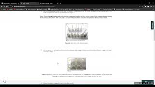 Lab 6: Observations and Chemical Change