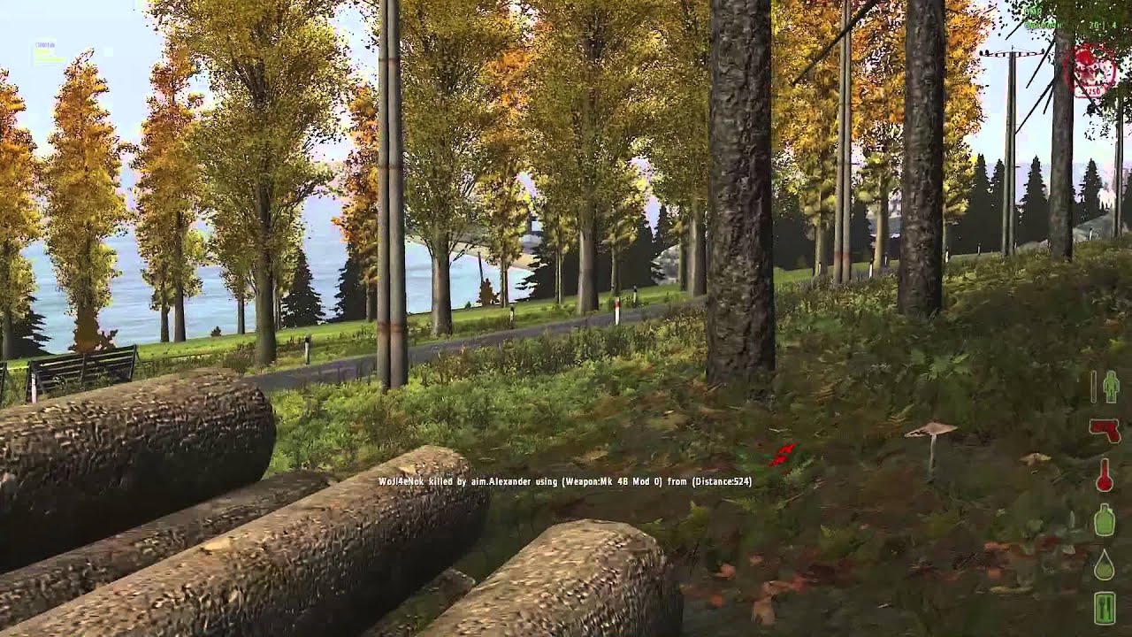 DayZ Origins - aim.Alexander, aim.Mikki - Круг почета