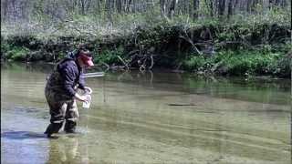 Water Stories: Taking the Pulse of Rivers