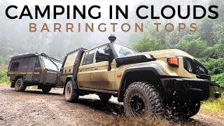 BARRINGTON TOPS NSW | MINUS 2 DEGREES, WILD BRUMBIES, RAINFORESTS AND A CHANCE OF SNOW