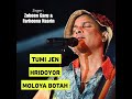 Tumi Jen Hridoyor Moloya Botah Mp3 Song