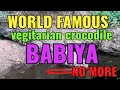 WORLD FAMOUS BABIYA NO MORE#arjunsounds  #babiya #crocodile