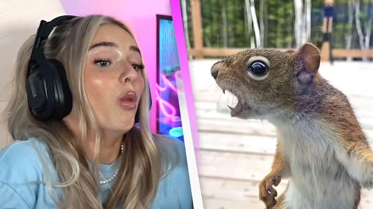 So sieht das aus wenn ich kotze 😅 Daily Dose Reaktion YouTube