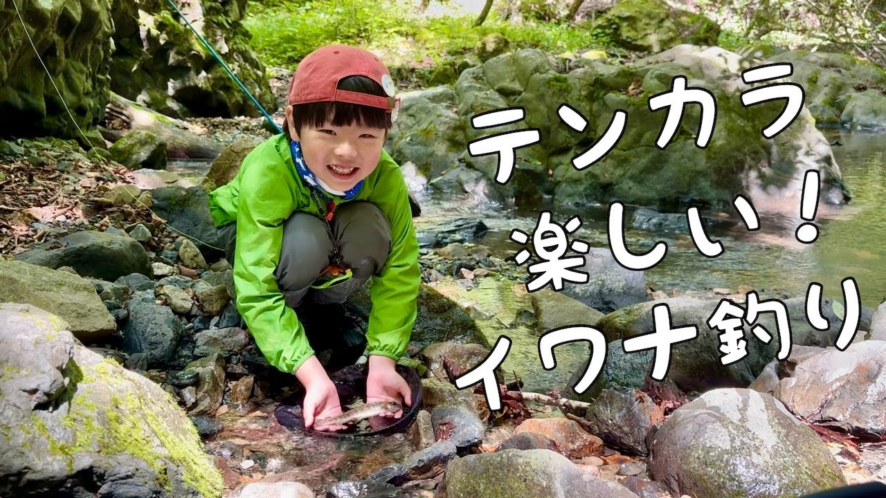 日本伝統釣法のテンカラで天然イワナを釣る小学１年生！