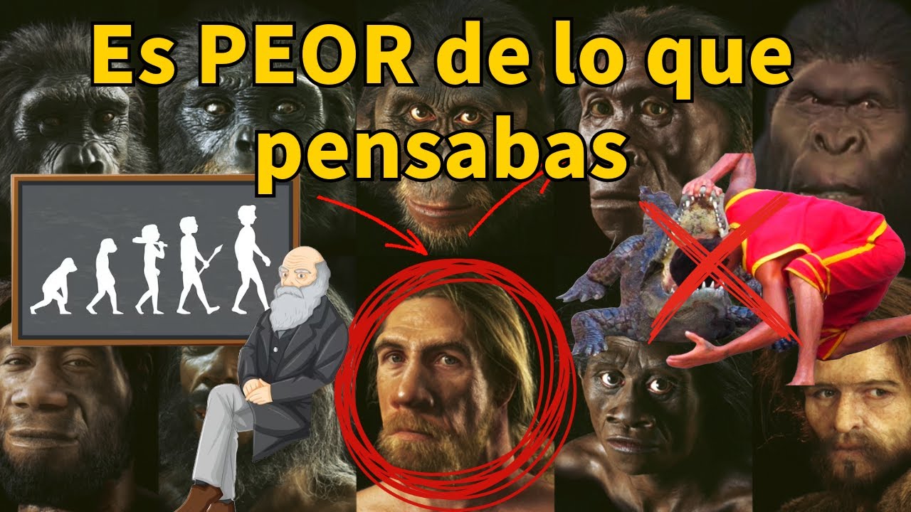 ¿Son más tontos los hombres que las mujeres? | Los cuestionables premios Darwin