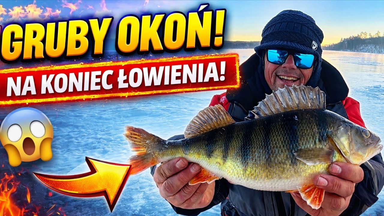 Gruby okoń na koniec