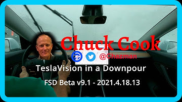 Tesla Vision in HEAVY Rain - Uncut - FSDBeta v9.1
