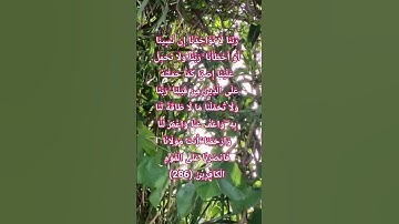 رَبَّنَا لَا تُؤَاخِذْنَا إِن نَّسِينَا أَوْ أَخْطَأْنَا  ( سوره البقره )