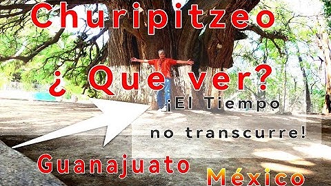 Churipitzeo Pénjamo  4k Ojo de agua y dos sabinos centenarios. El tiempo se detuvo . EstanisYoutube