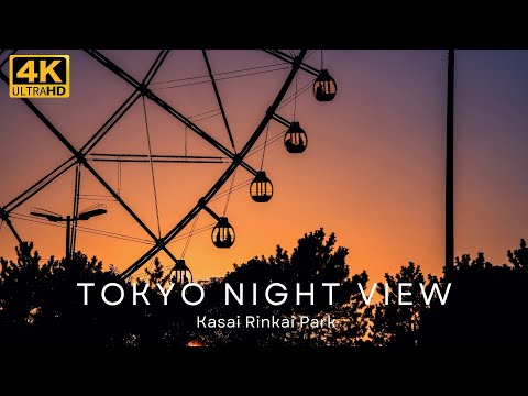 4K) Tokyo Night View 東京 夜景 葛西臨海公園 夕日 夕焼け