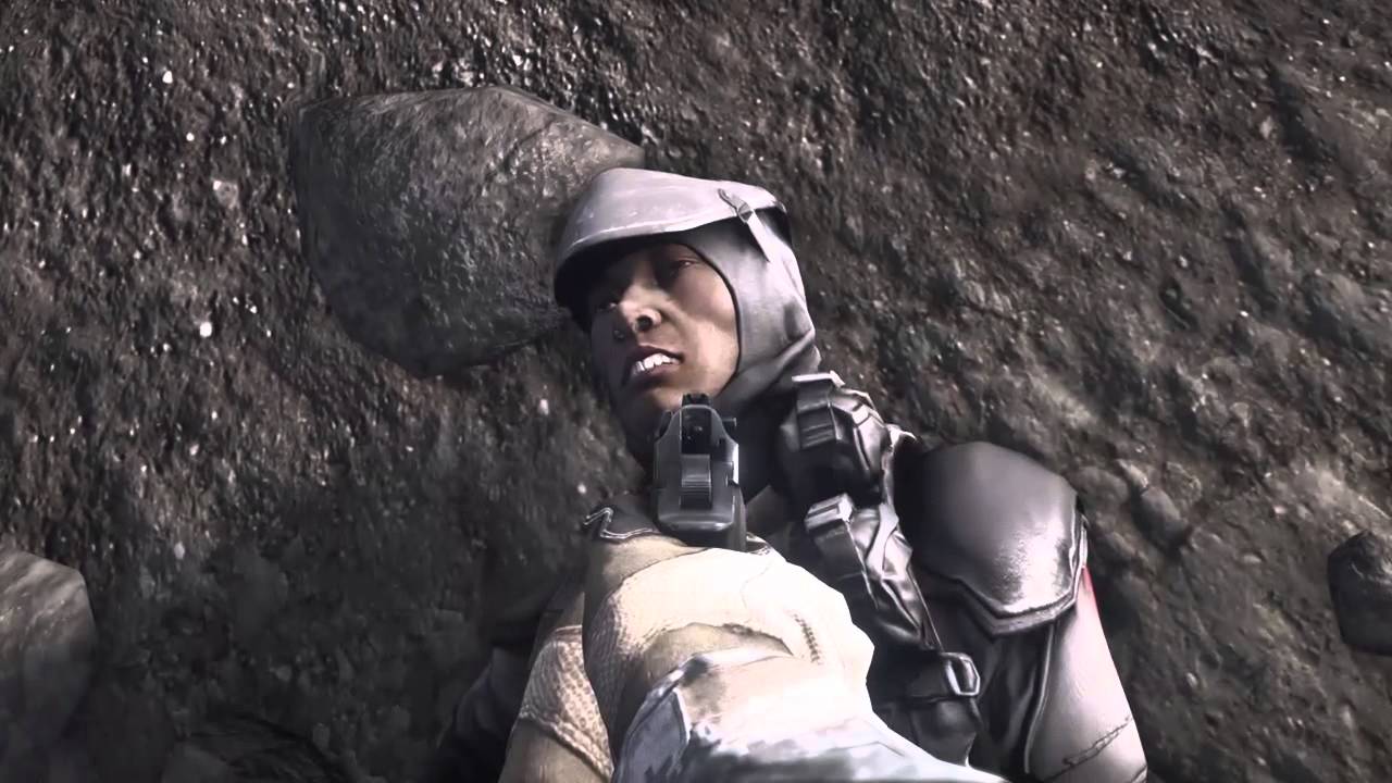 Border Patrol Battlefield 4