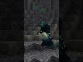 هل الواردن يشوف في ماين كرافت