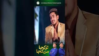 Tu kuja man kuja || Hashmi Brothers || Naat #shorts