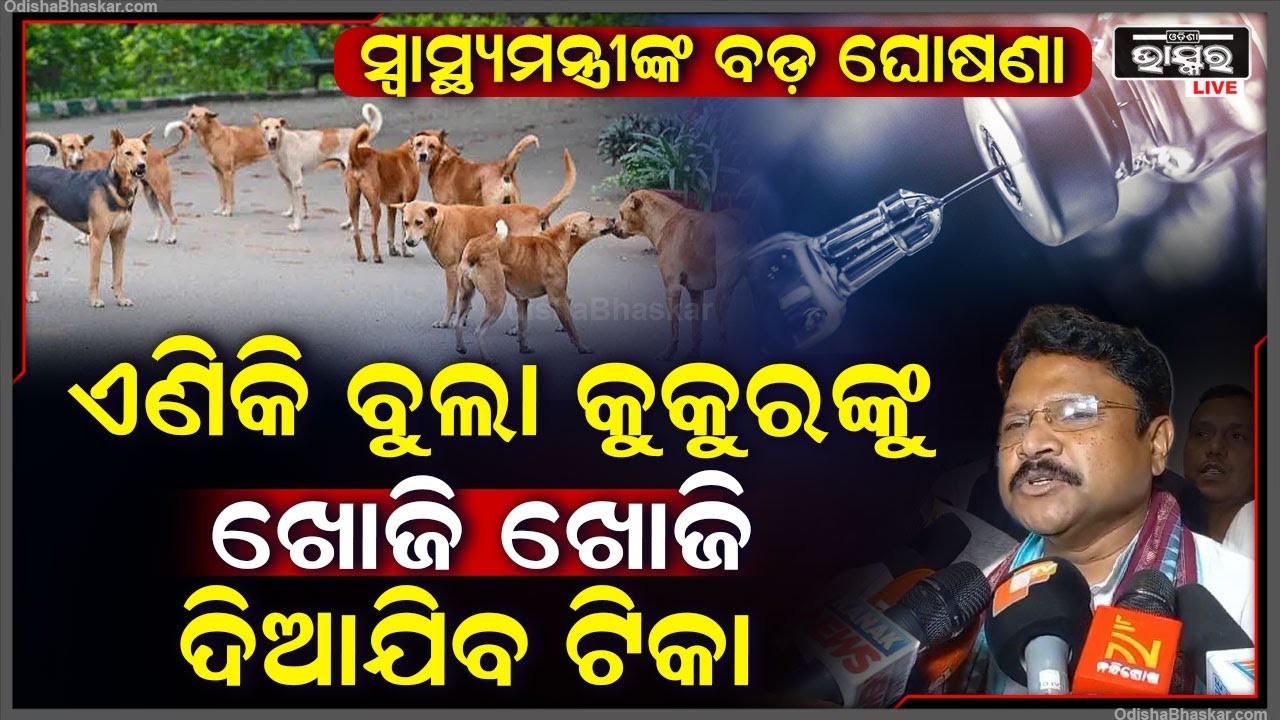 ବୁଲା କୁକୁରଙ୍କୁ ନେଇ ବଡ଼ ଘୋଷଣା କଲେ ସ୍ୱାସ୍ଥ୍ୟମନ୍ତ୍ରୀ I ଏଣିକି ସମସ୍ତ ବୁଲା କୁକୁରଙ୍କୁ ଖୋଜି ଖୋଜି ଦିଆଯିବ ଟିକା