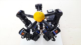 15 DOF robot gripper by Mech-Dickel Robotics 3,441 views 1 year ago 2 minutes, 46 seconds