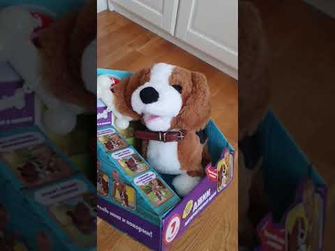 Видео: Домашни играчки за кучета от домакински артикули
