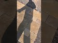 Tandur Yellow Limestone Paving Slabs Natural elegance for timeless outdoor spaces. #limestonepaving