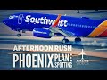 Phoenix Plane Spotting - AFTERNOON RUSH at Sky Harbor International Airport (PHX)