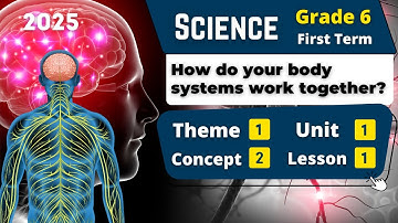 How do your body systems work together? | Grade 6 | Unit 1 - Concept 2 - Lesson 1 | Science