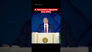 А. Лукашенко о народном вече (ВНС) #shorts #лукашенко #беларусь