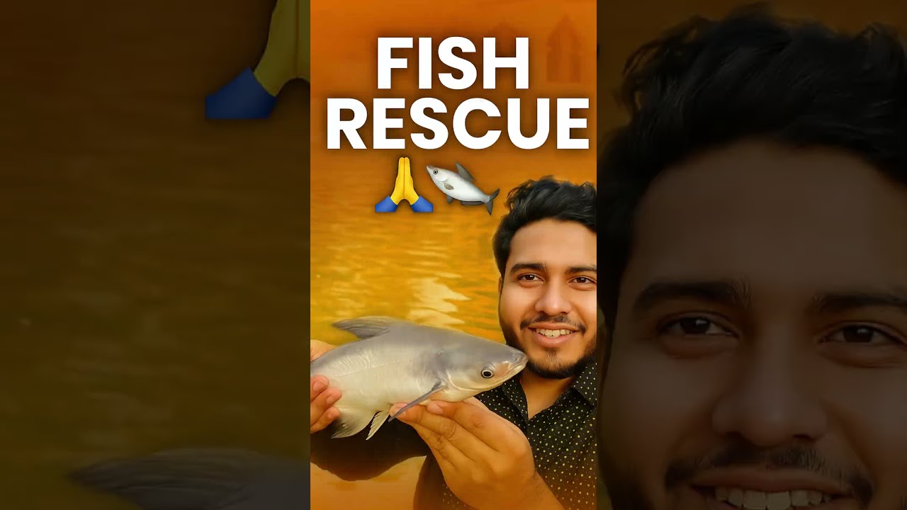 Fish Rescue 🐟 Saved from Dying Pond | Safe Release