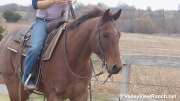 Jolena Little***For info, price, etc., go to our website*** Valley View Ranch