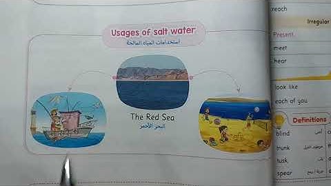 الدرس الثاني /الوحدة الثامنة/كونكت ٥/ قصة الفيل وأنواع الماء Lesson 2/Unit 8/Connect 5